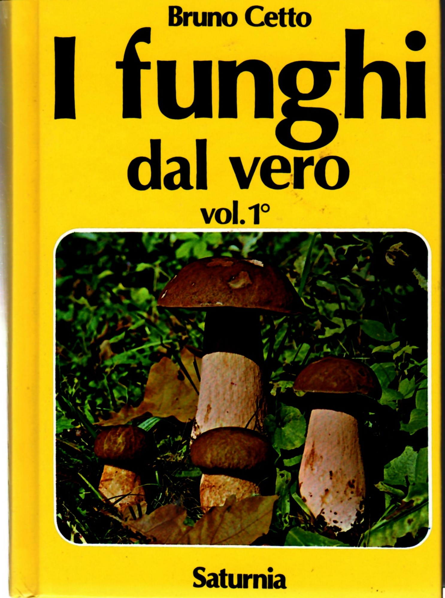 I Funghi dal Vero. Vol. 1^