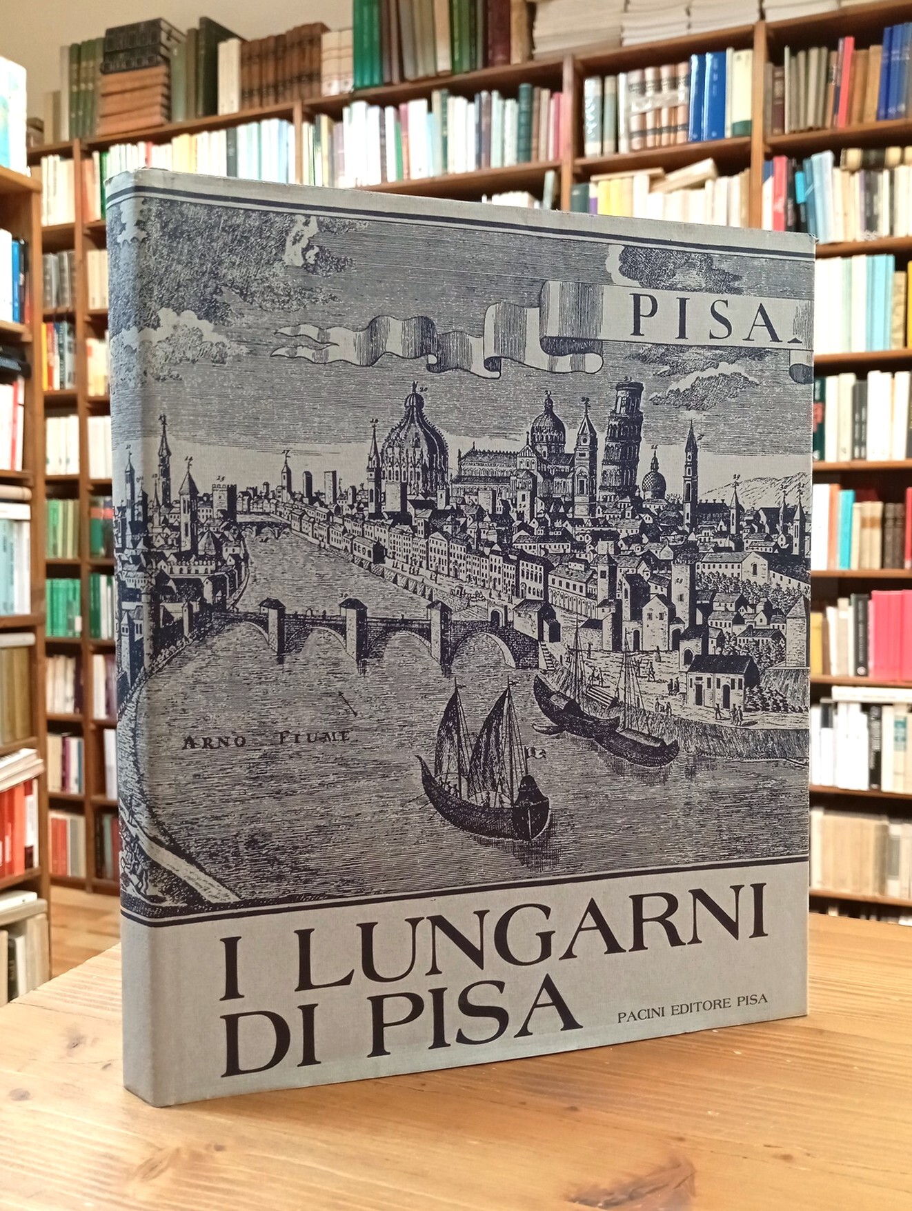 I lungarni di Pisa