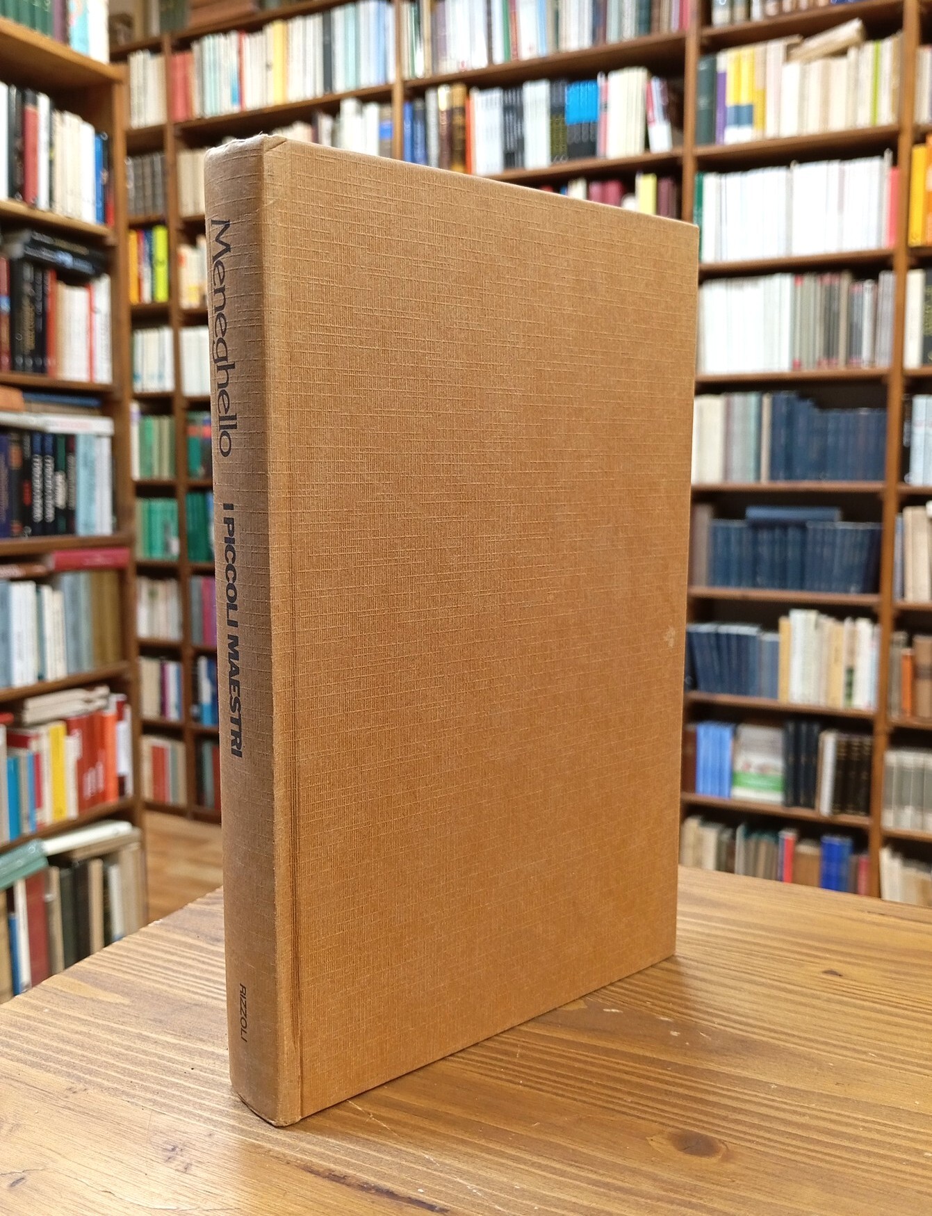 I piccoli maestri. Nuova edizione riveduta con una nota introduttiva