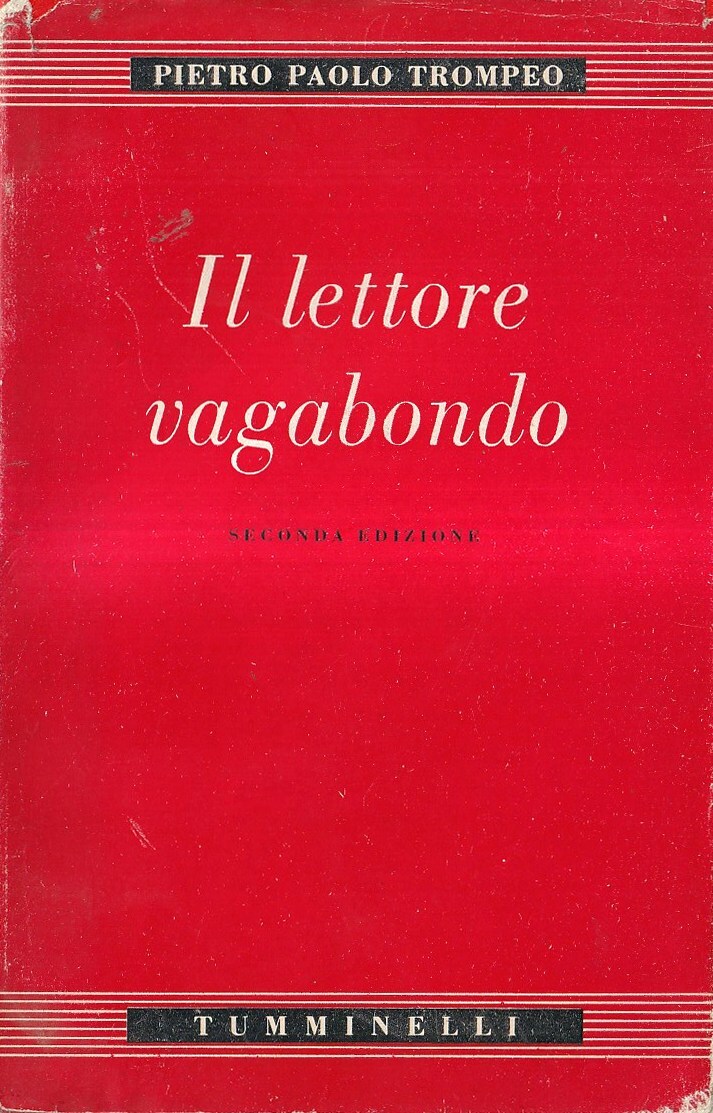 Il lettore vagabondo. Saggi e postille