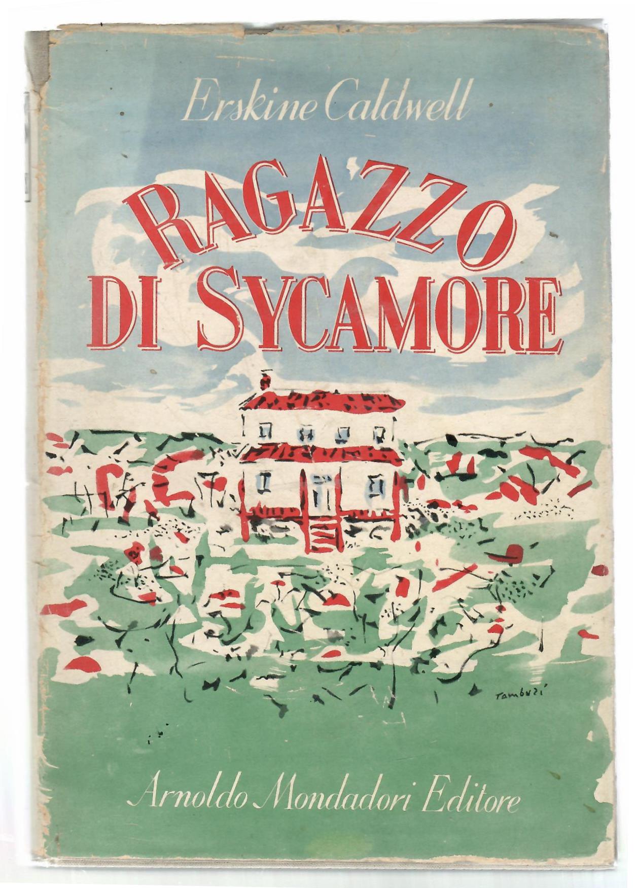 Il Ragazzo Di Sycamore