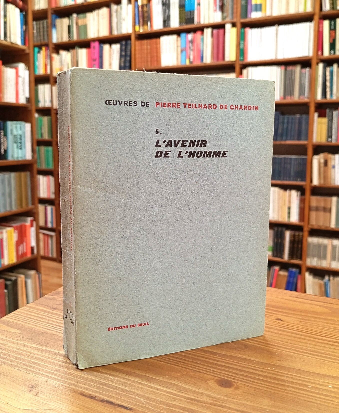 L'avenir de l'homme