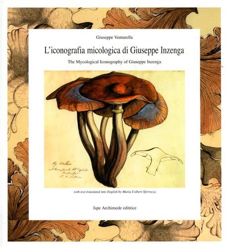 L'iconografia micologica di Giuseppe Inzenga / The Mycological Iconography of …