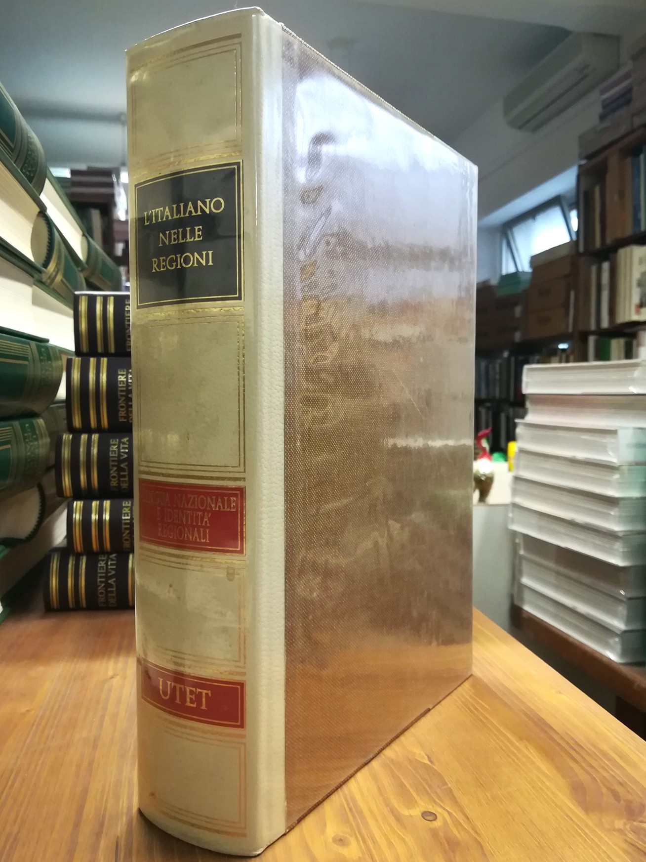 L'italiano nelle regioni. Lingua nazionale e identità regionali