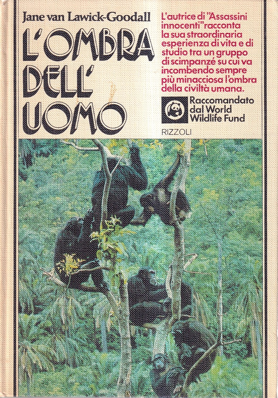 L'ombra dell'uomo