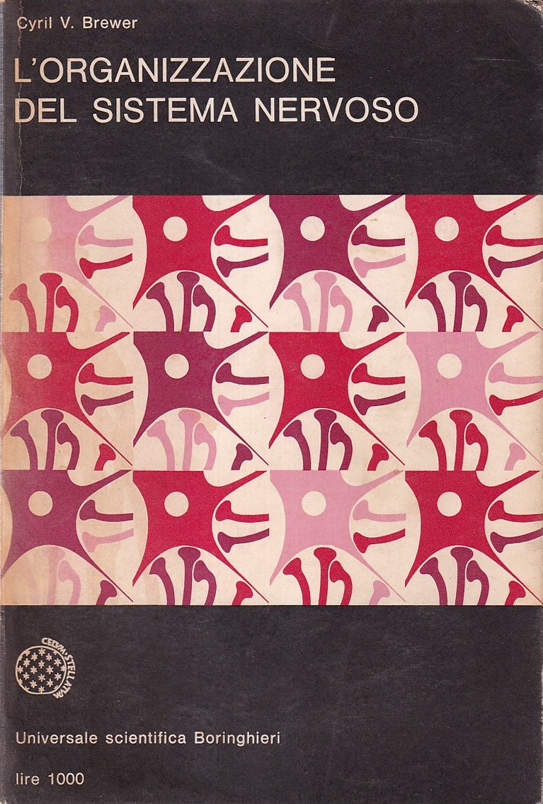 L'organizzazione del sistema nervoso