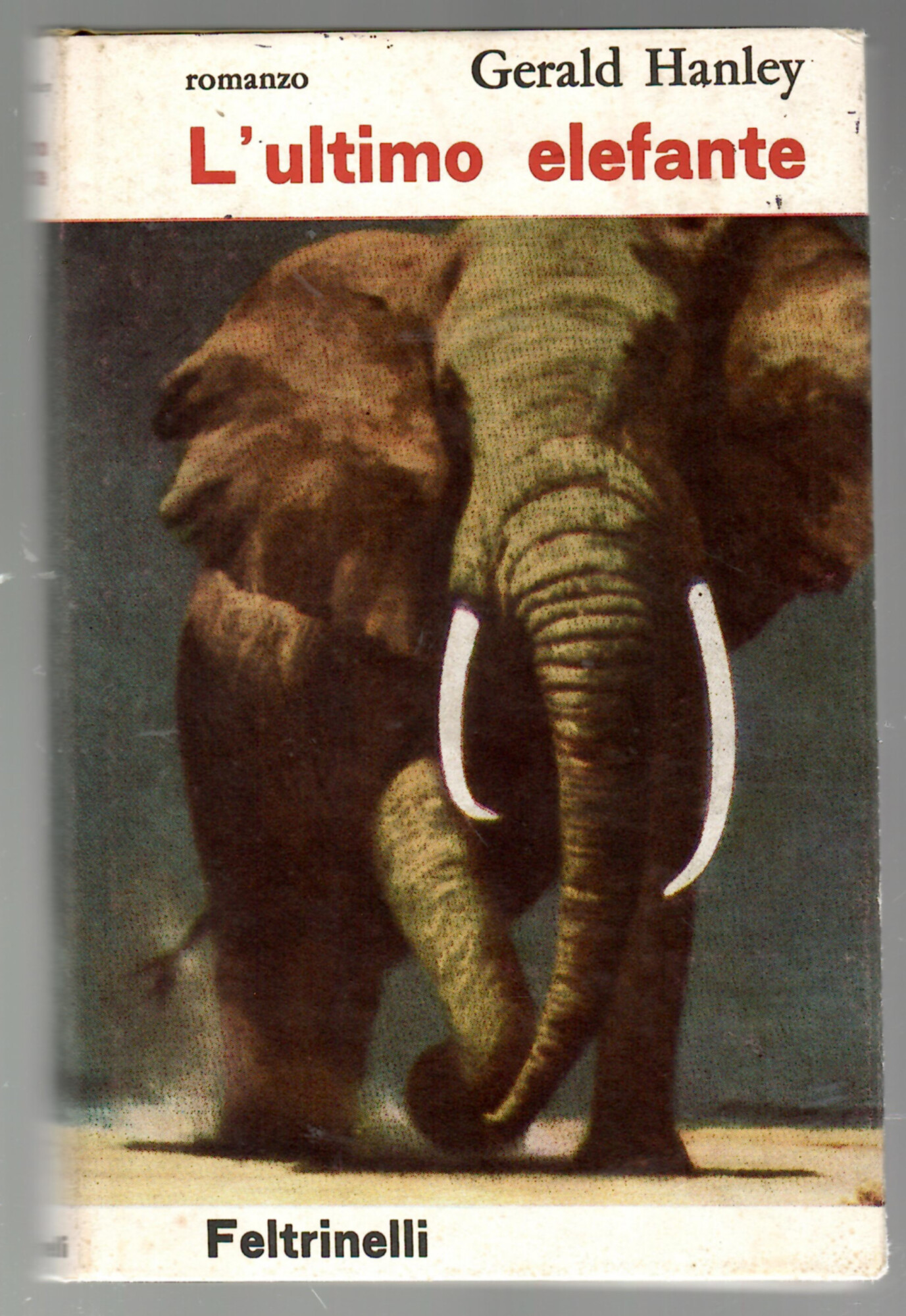 L'ultimo elefante