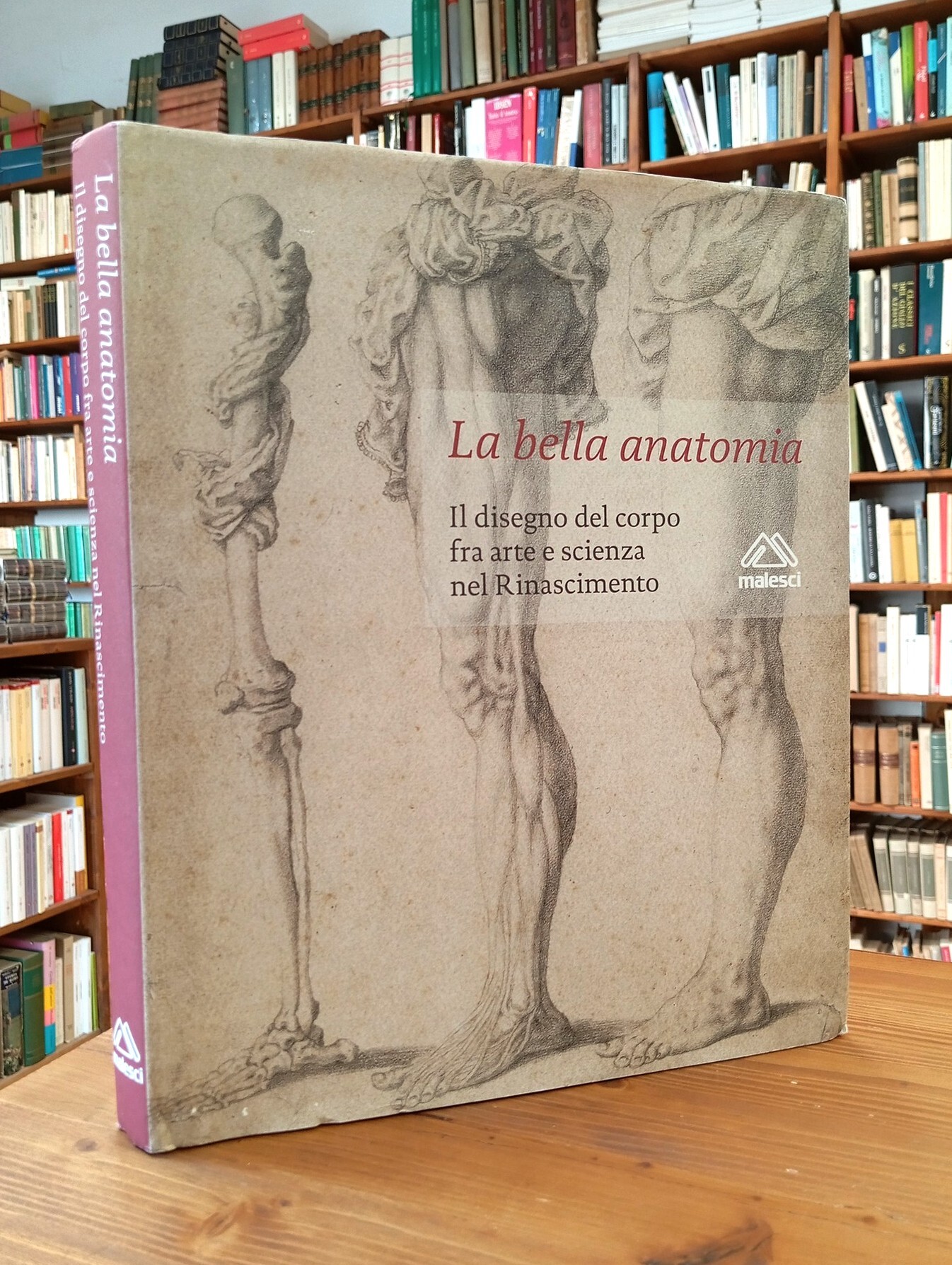 La bella anatomia. Il disegno del corpo fra arte e …