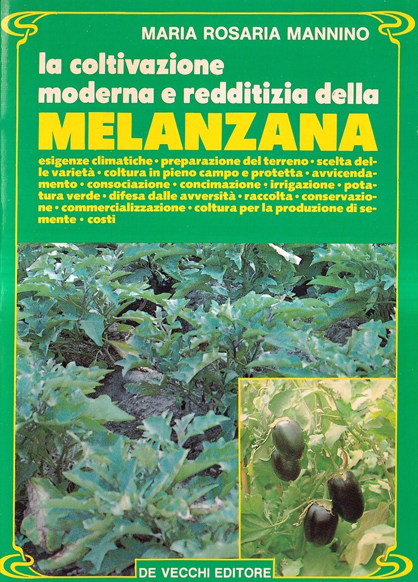 La coltivazione moderna e redditizia della melanzana