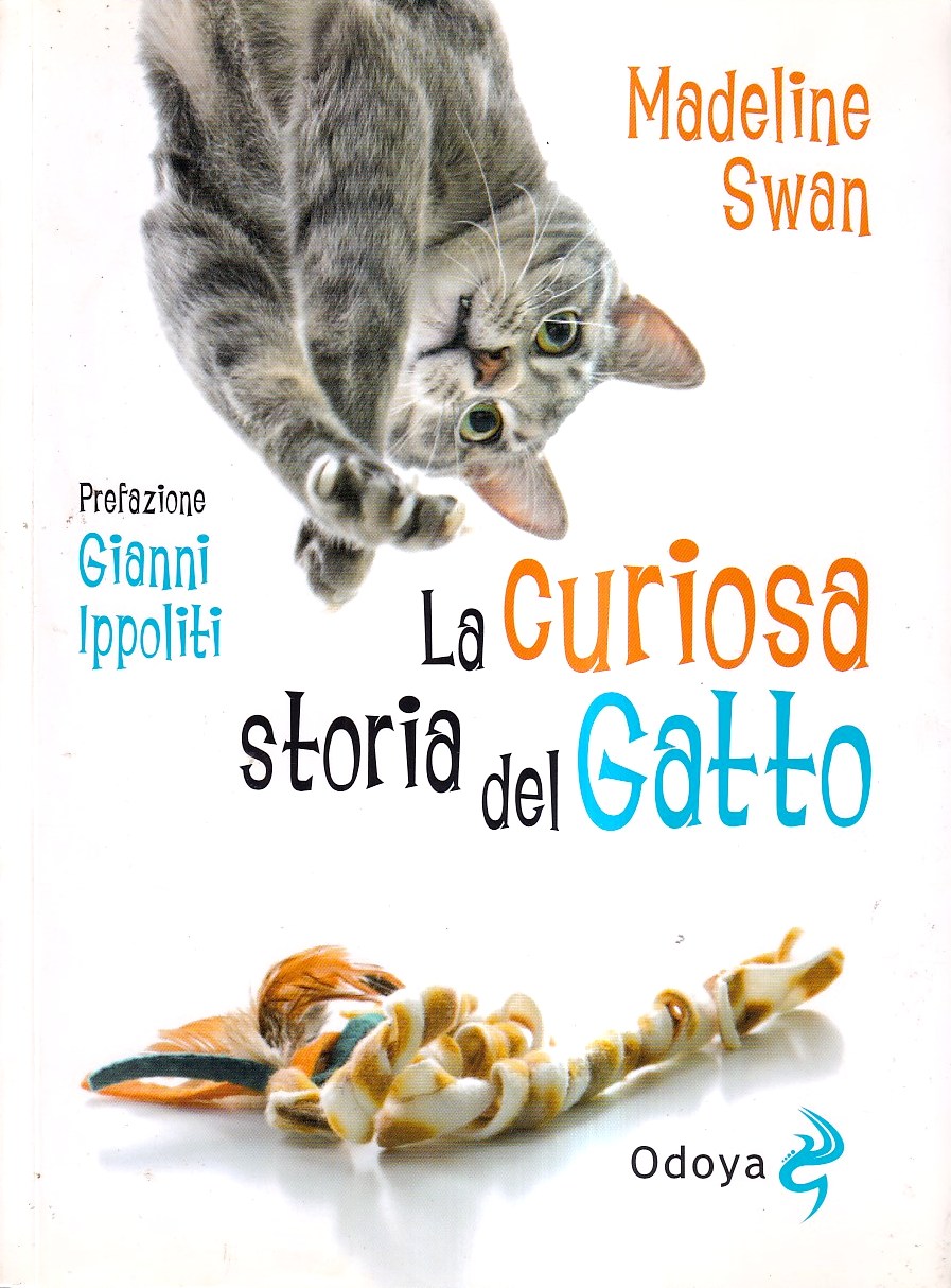 La curiosa storia del gatto