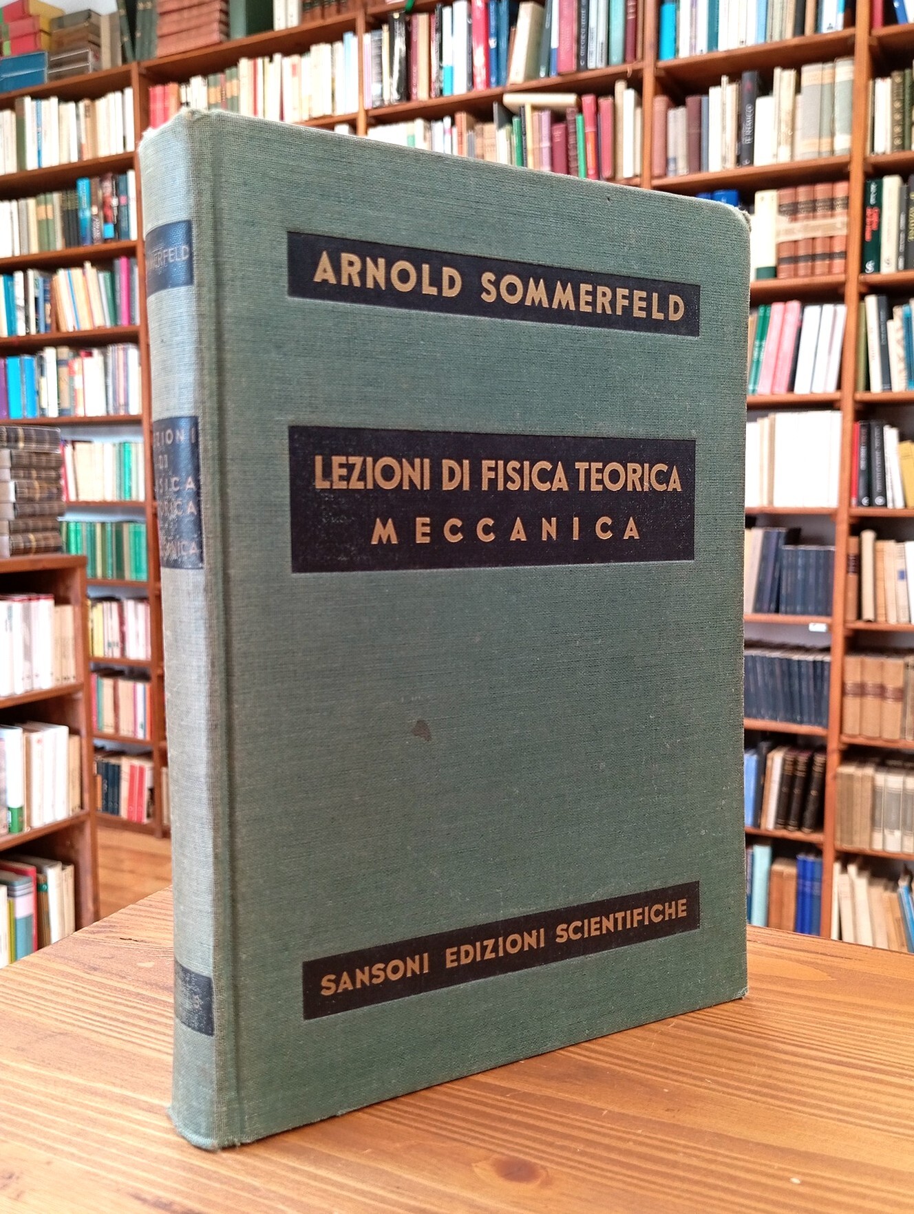 Lezioni di fisica teorica. Vol. I: Meccanica