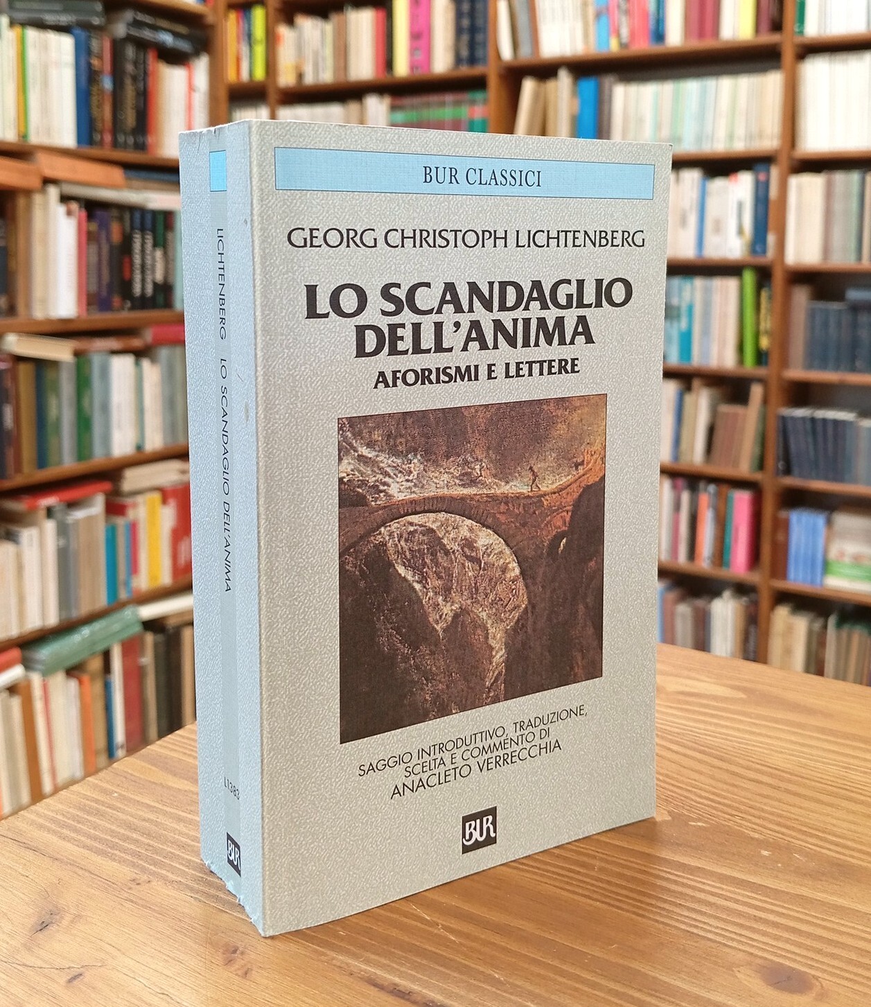 Lo scandaglio dell'anima. Aforismi e lettere