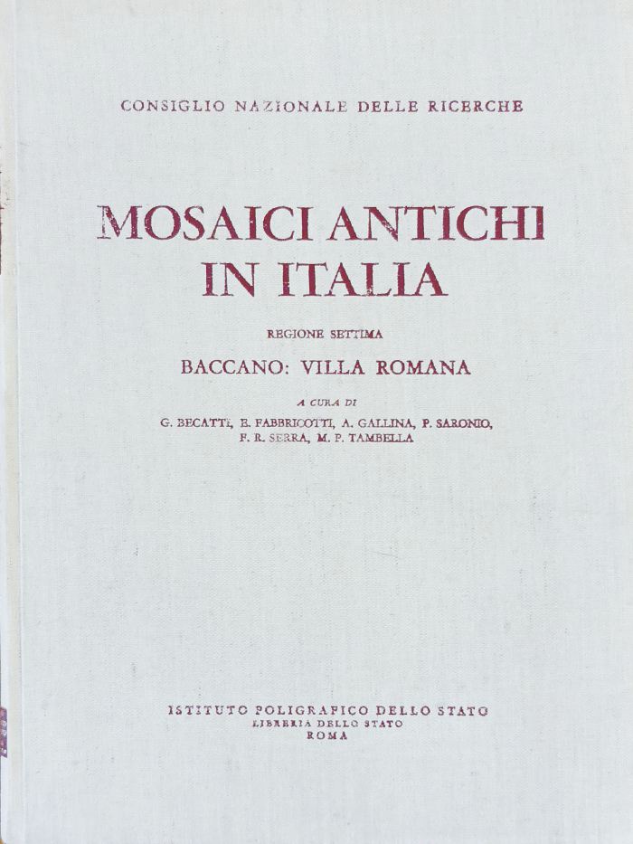 Mosaici Antichi in Italia Regione Settima Baccano Villa Romana