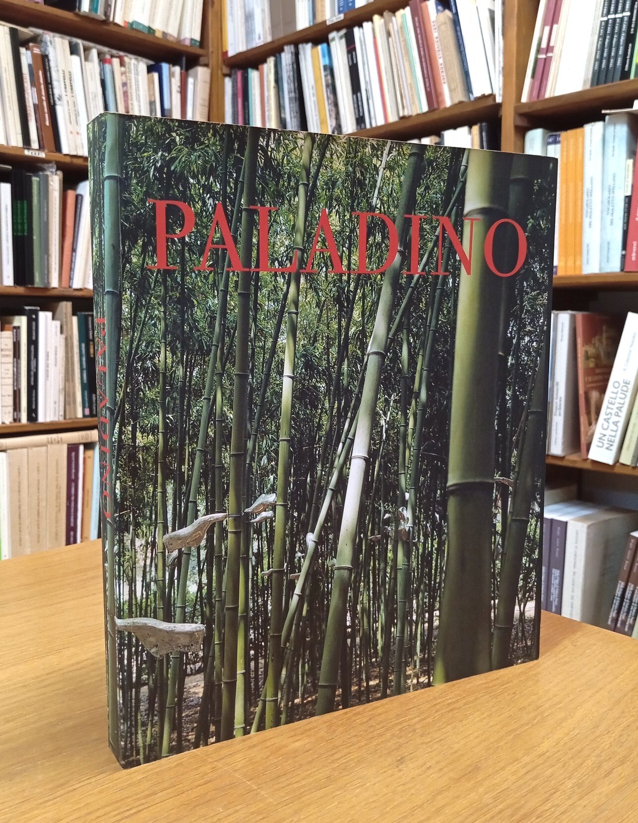 Paladino