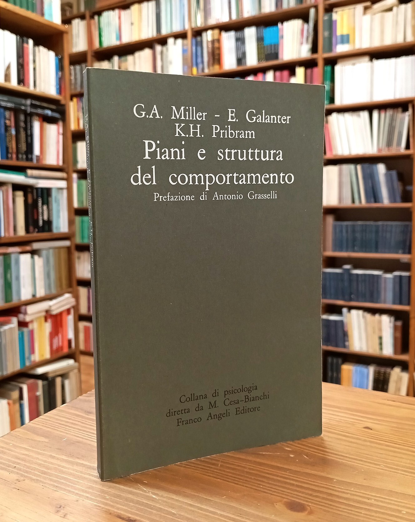 Piani e struttura del comportamento