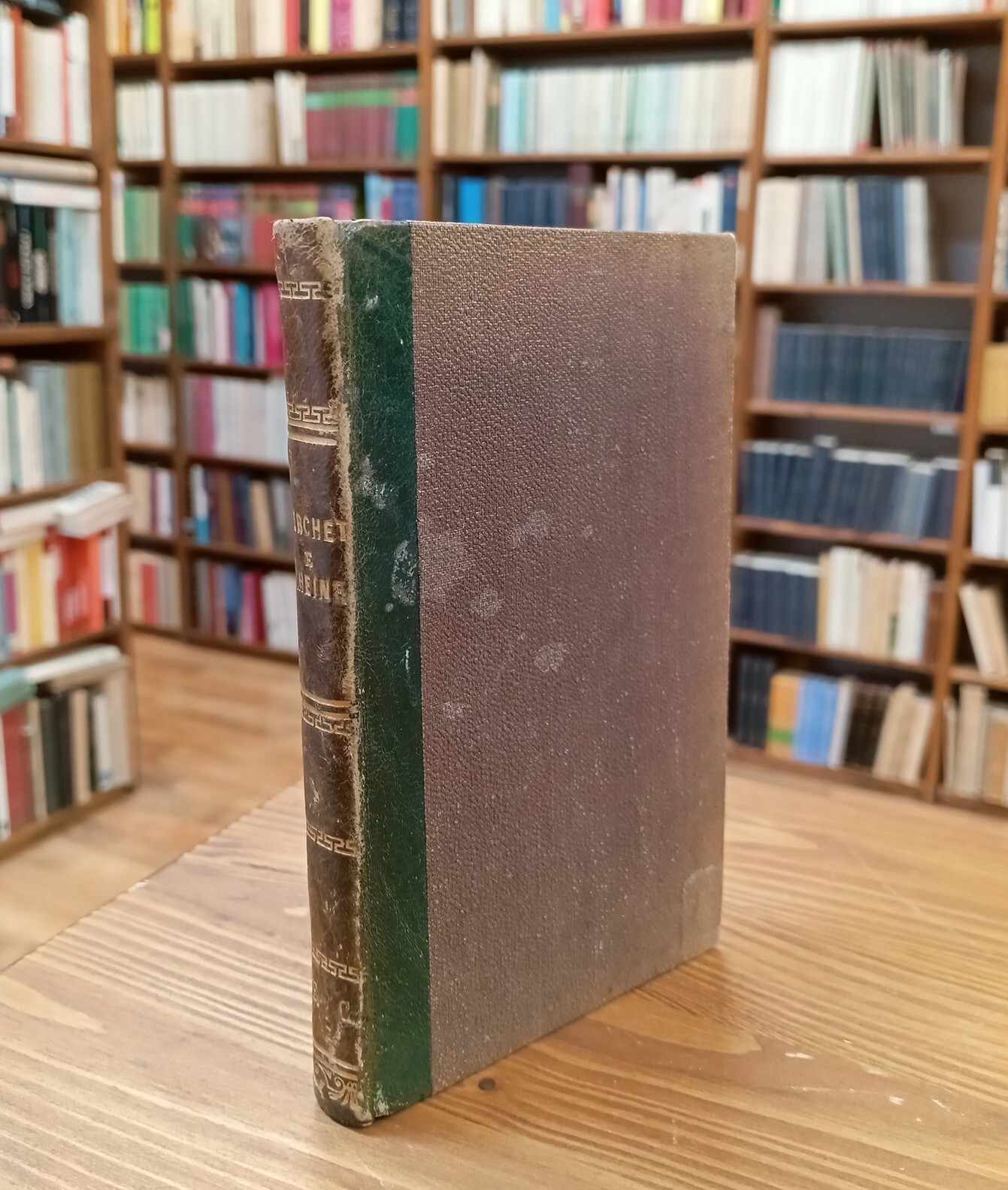 Poesie / Intermezzo lirico (1822-23)