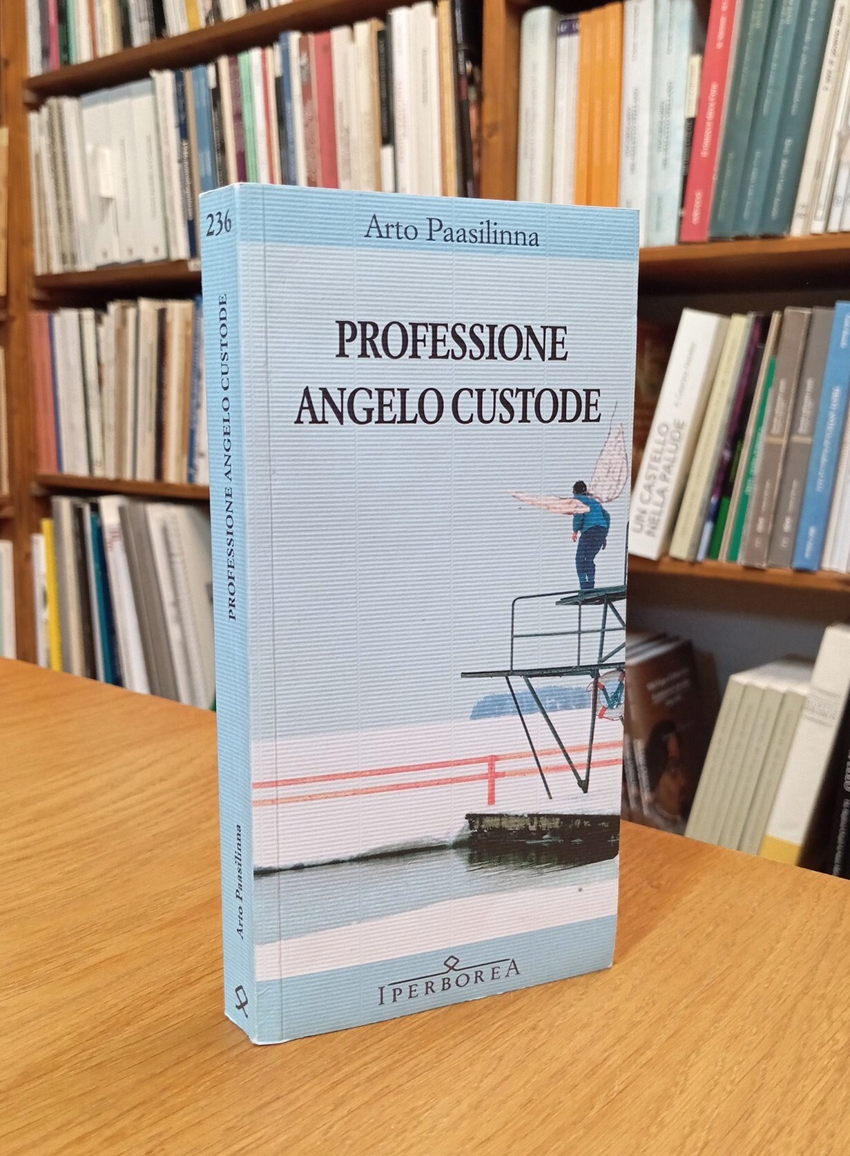 Professione angelo custode