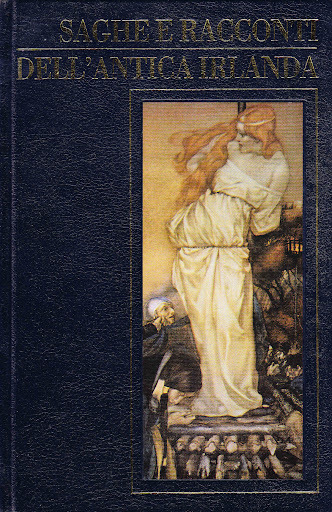 Saghe e racconti dell'antica irlanda. Druidi, bardi e guerrieri