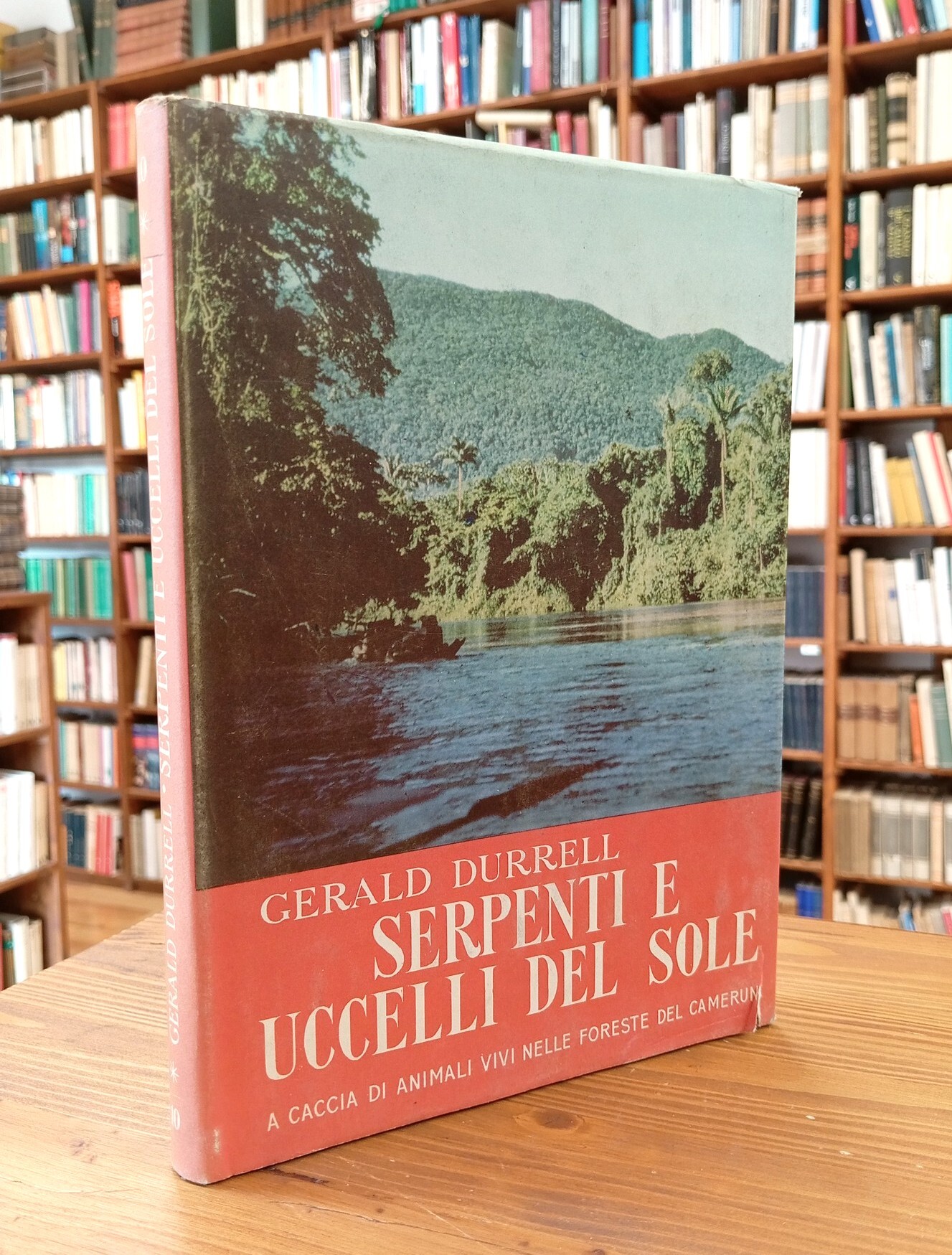Serpenti e uccelli del sole