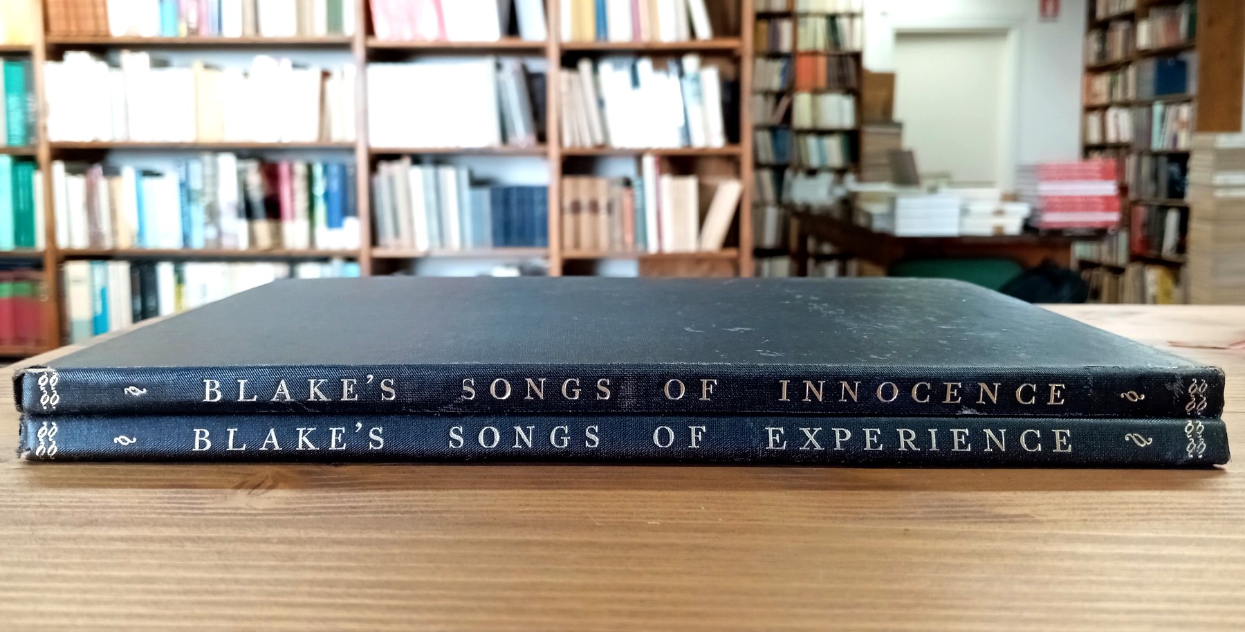 Songs of Innocence / Songs of Experience