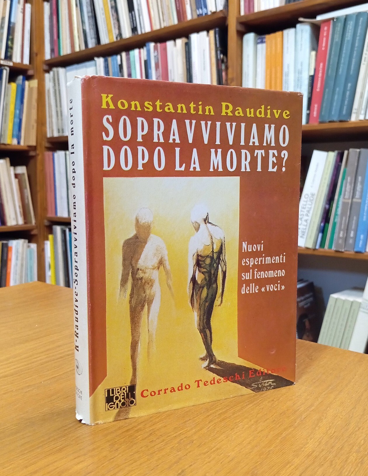 Sopravviviamo dopo la morte? Nuovi esperimenti sul fenomeno delle "voci"