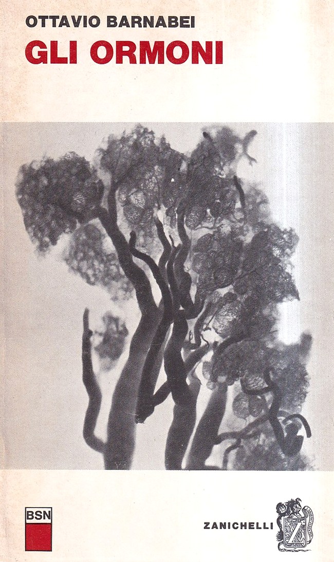 Topologia delle Superficie Algebriche in P3(C)