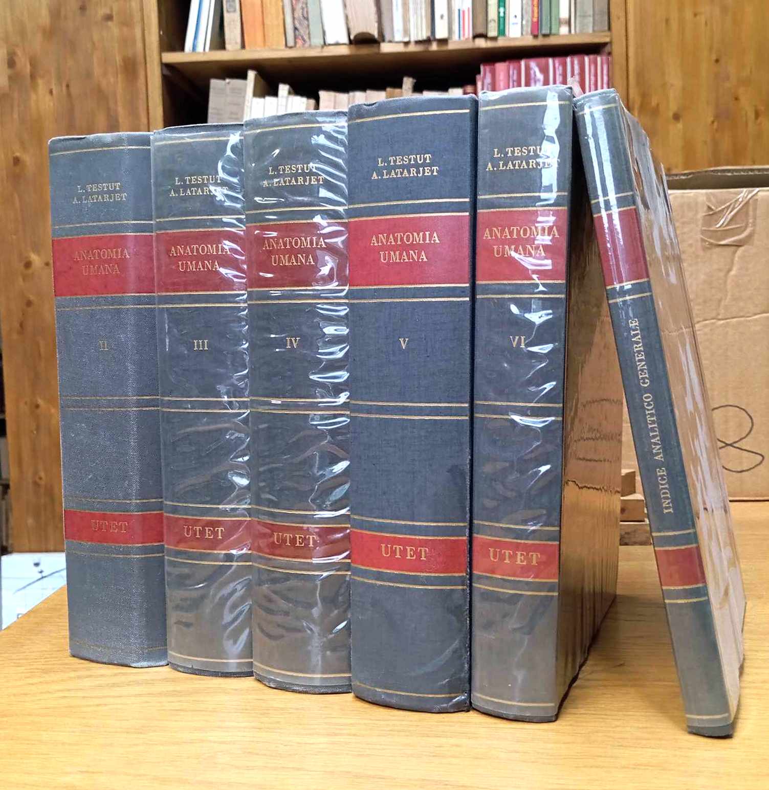 Trattato di anatomia umana - Voll. II-VI + indice
