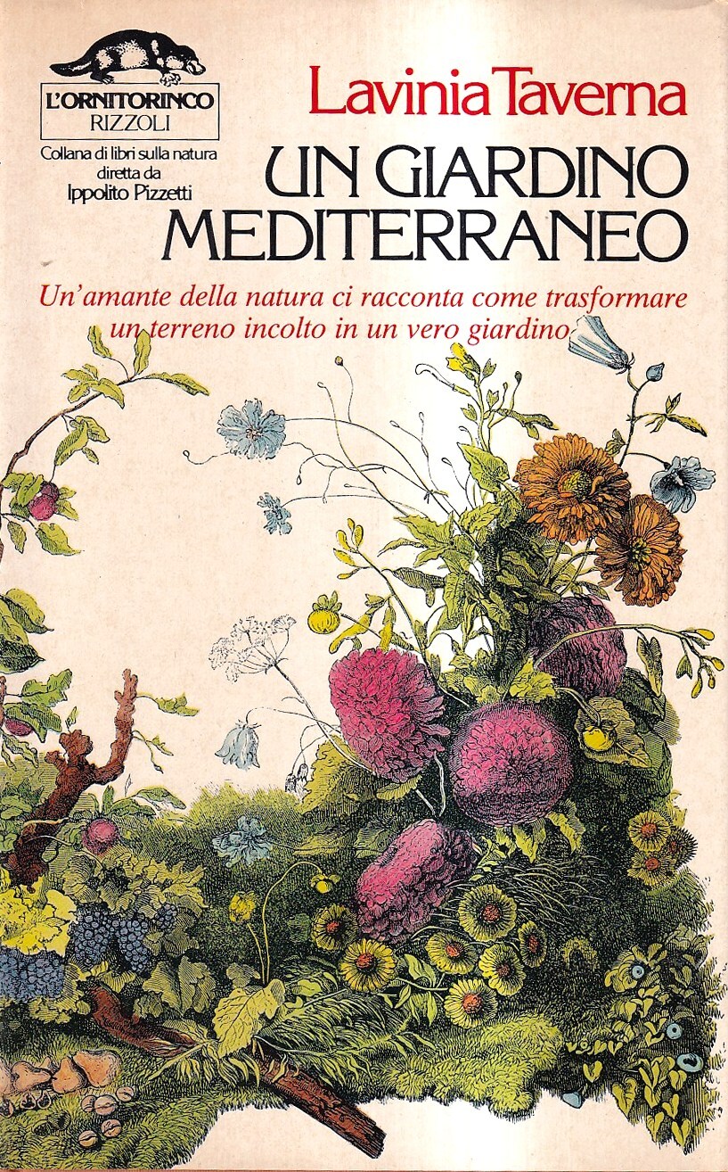 Un giardino mediterraneo