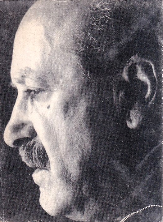 Un poeta come De Libero. Iconografia e bibliografia di Libero …