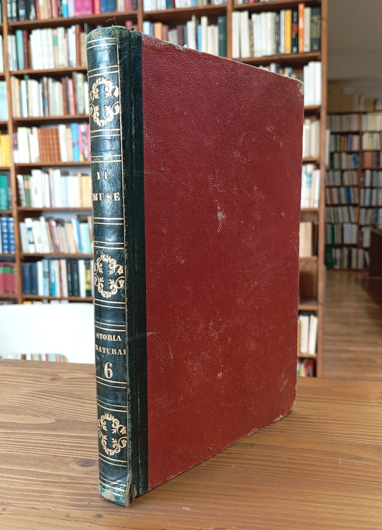 Varietà di Storia Naturale