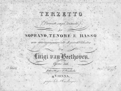 [Op. 116] Terzetto (Tremate, empi, tremate) per soprano, tenore e …