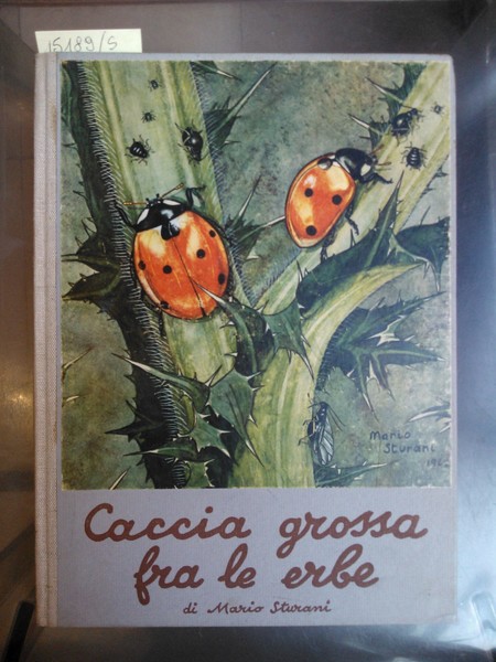 Caccia grossa fra le erbe