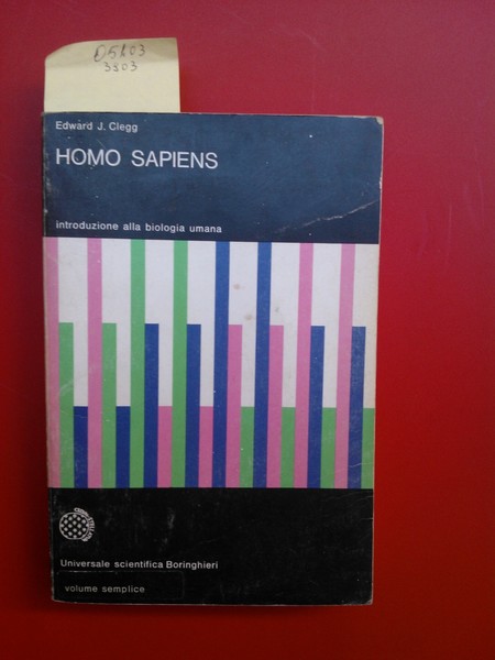 Homo sapiens