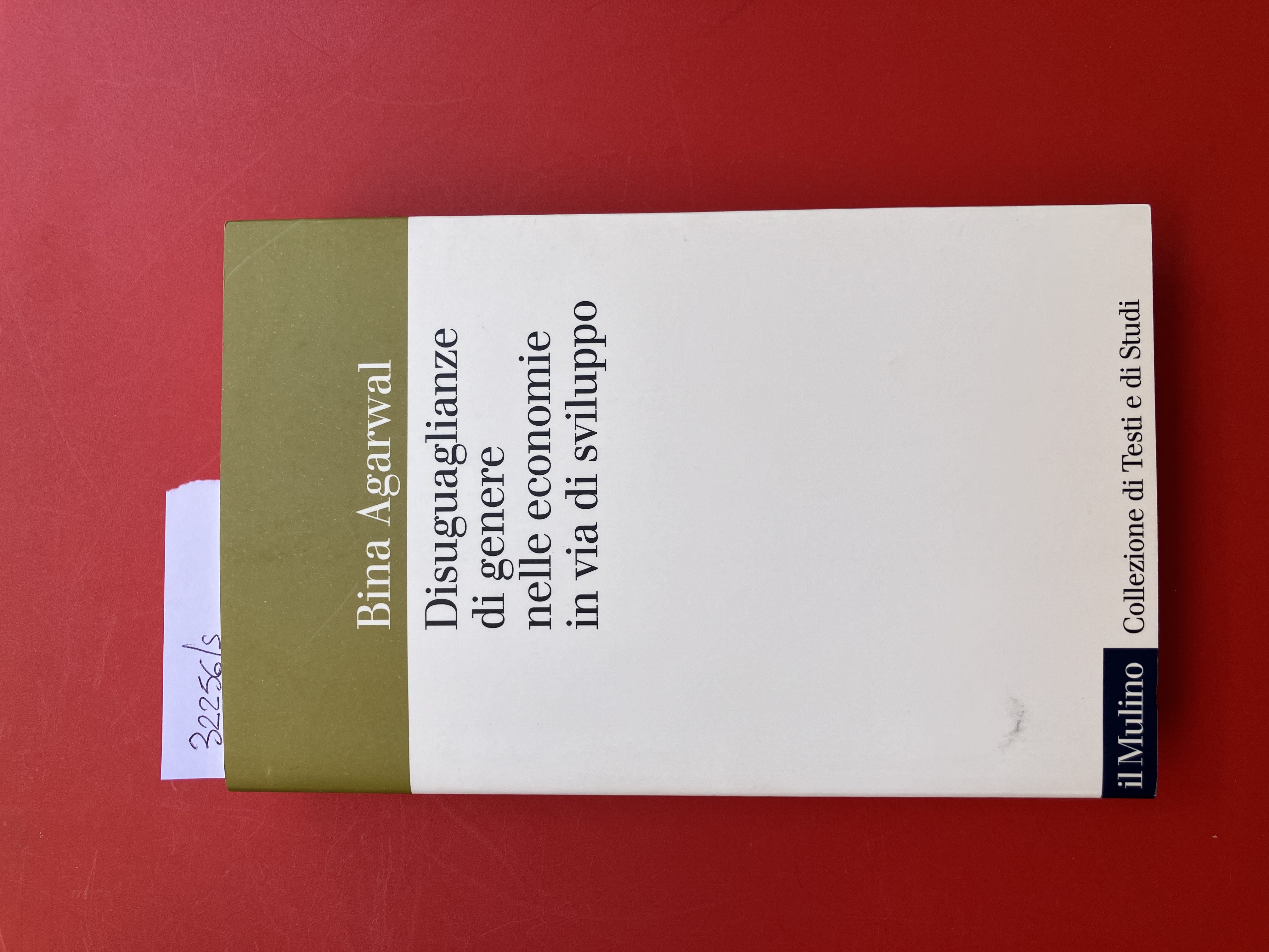 Disuguaglianze di genere nelle economie in via di sviluppo