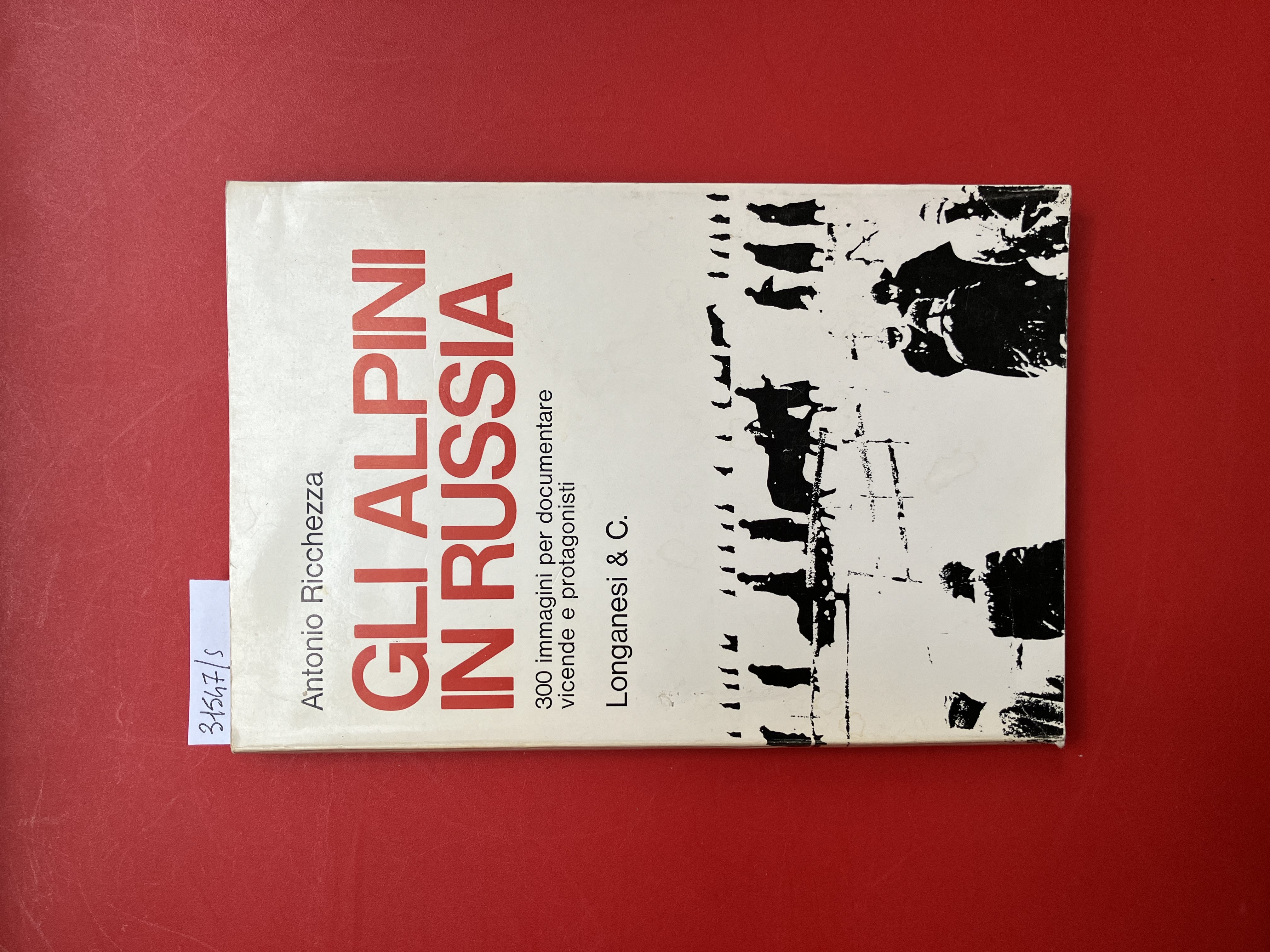 Gli alpini in Russia