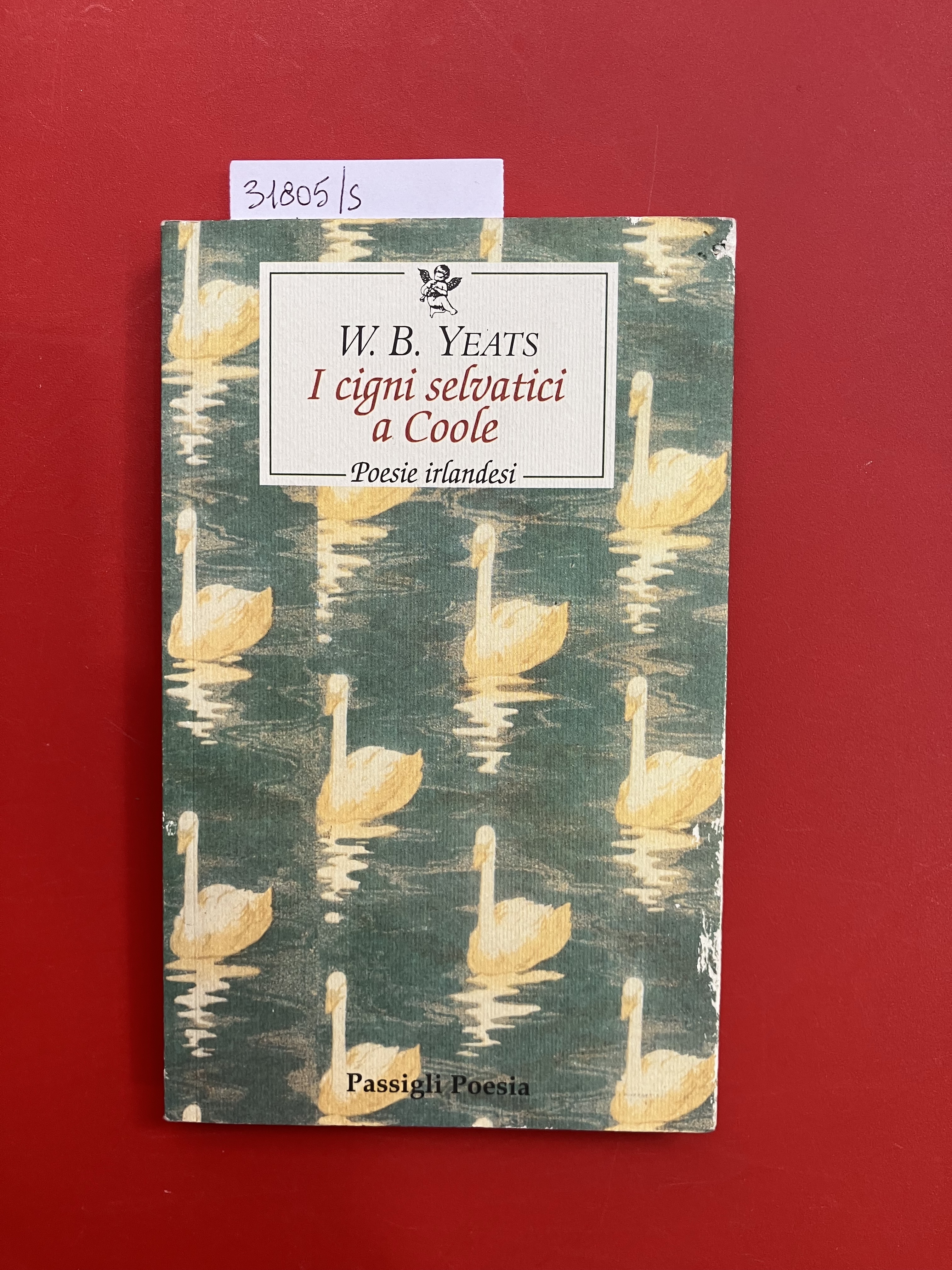 I cigni selvatici a Coole