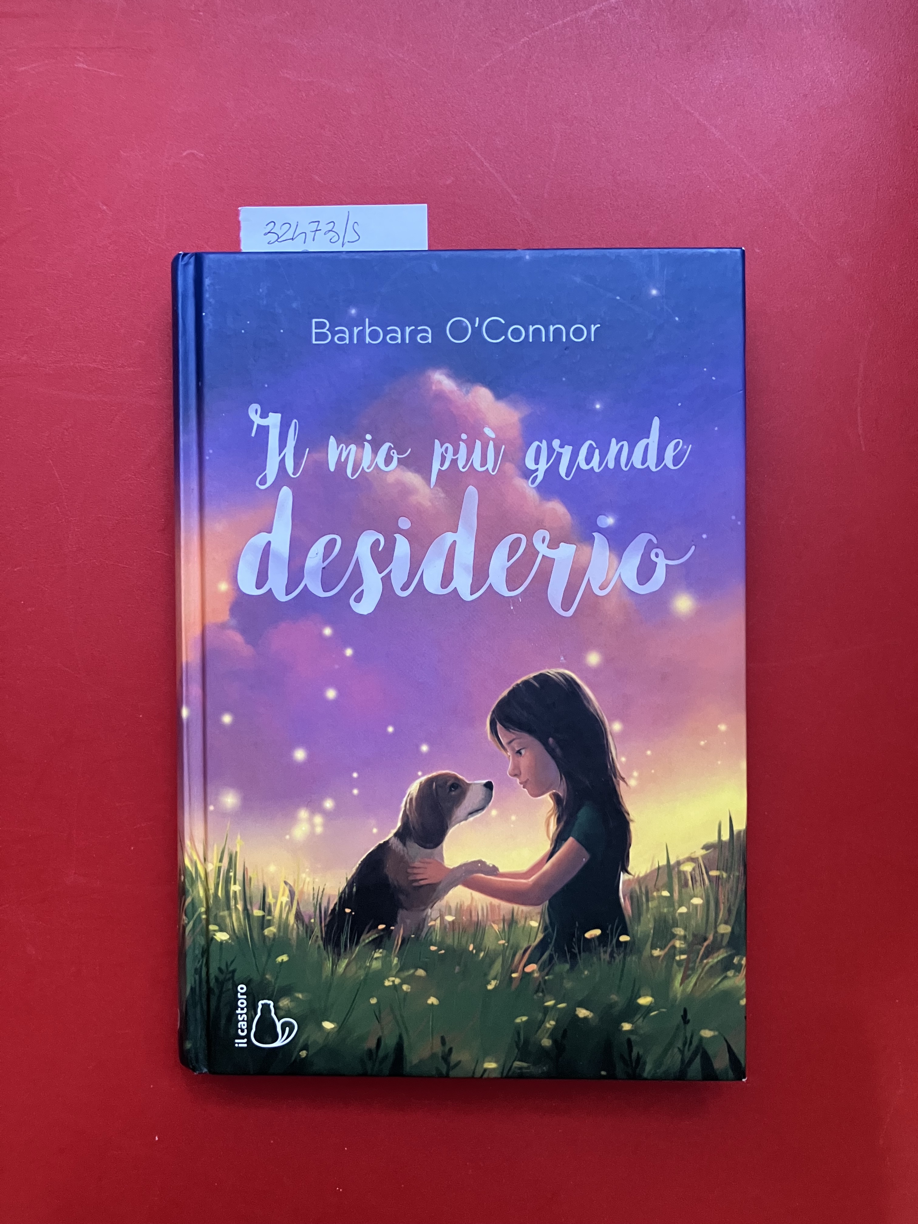 Il mio più grande desiderio