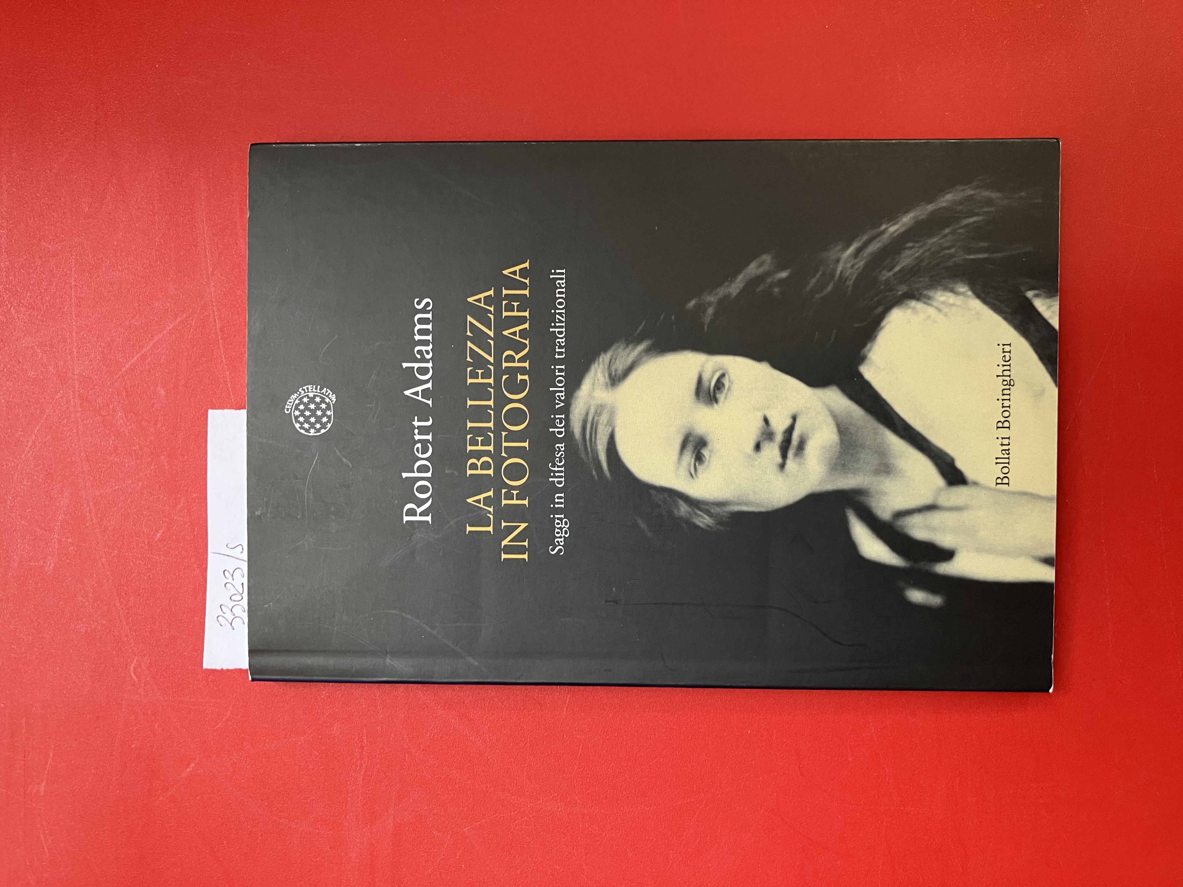 La bellezza in fotografia. Saggi in difesa dei valori tradizionali