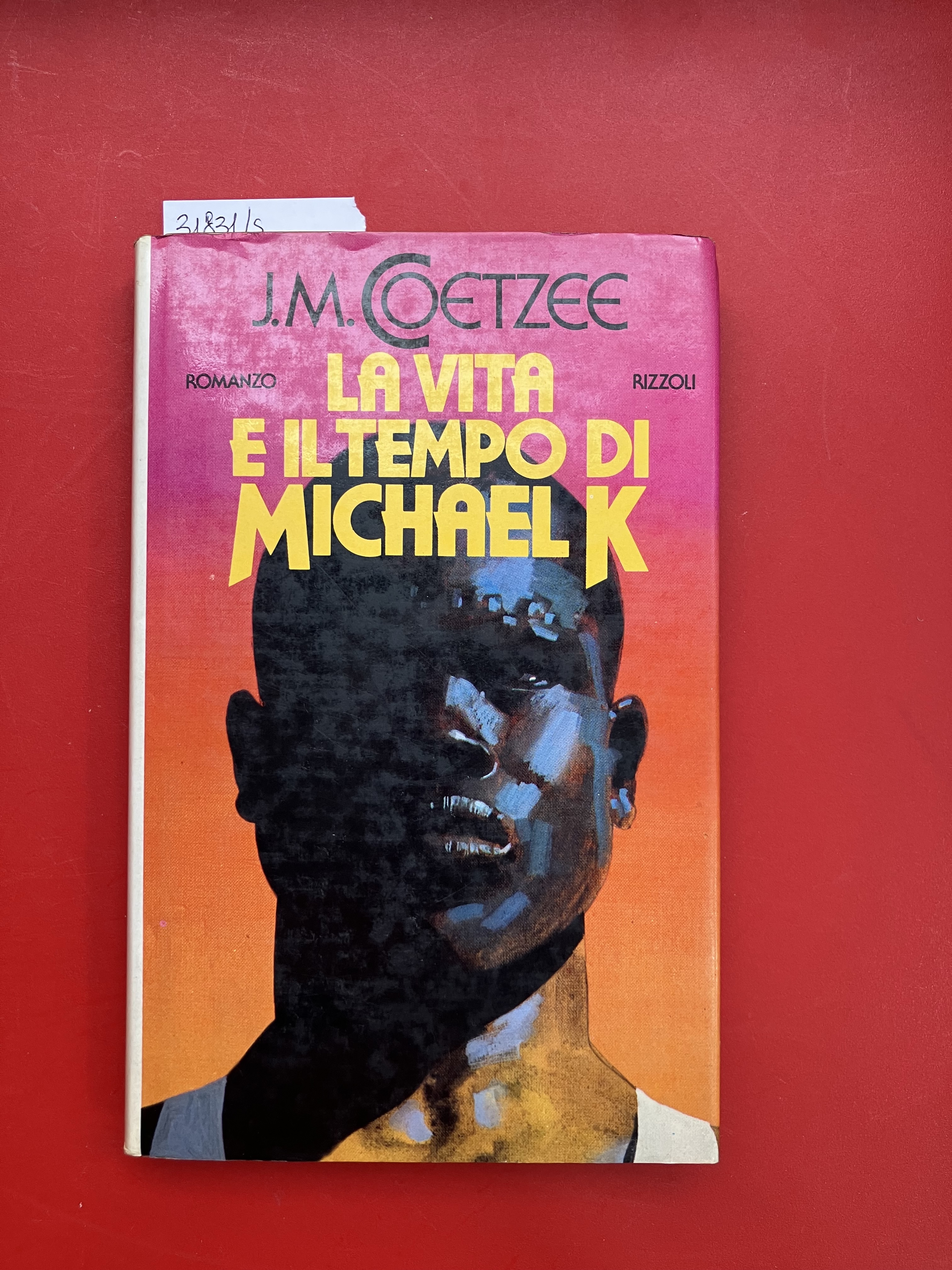 La vita e il tempo di Michael K