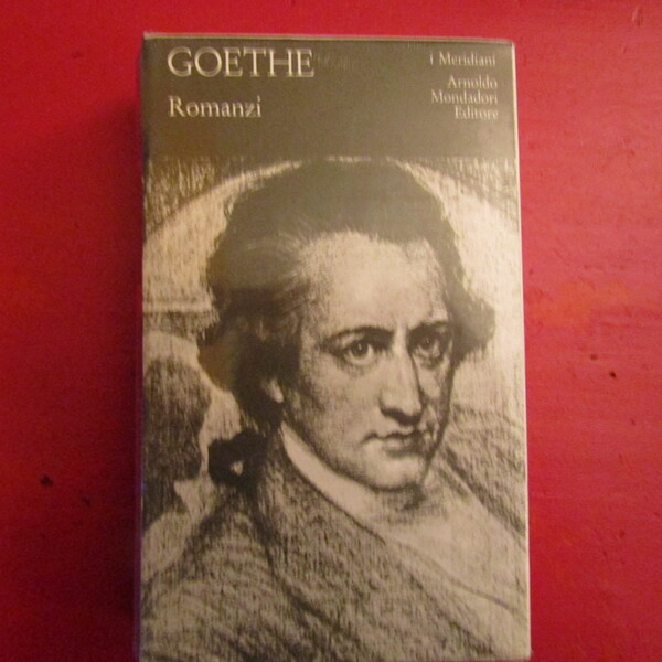 Romanzi