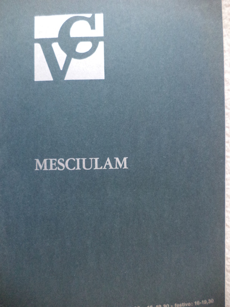 Plinio Mesciulam