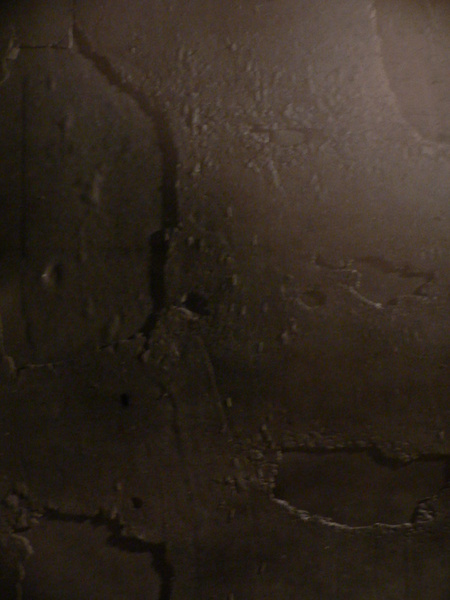 Burri
