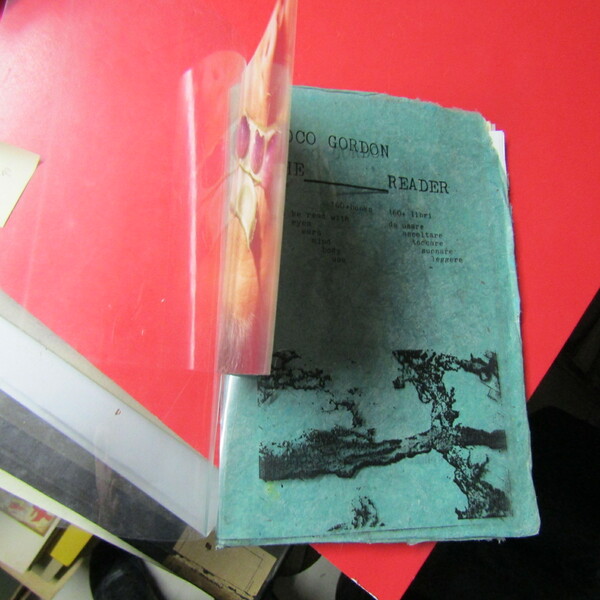 The Reader