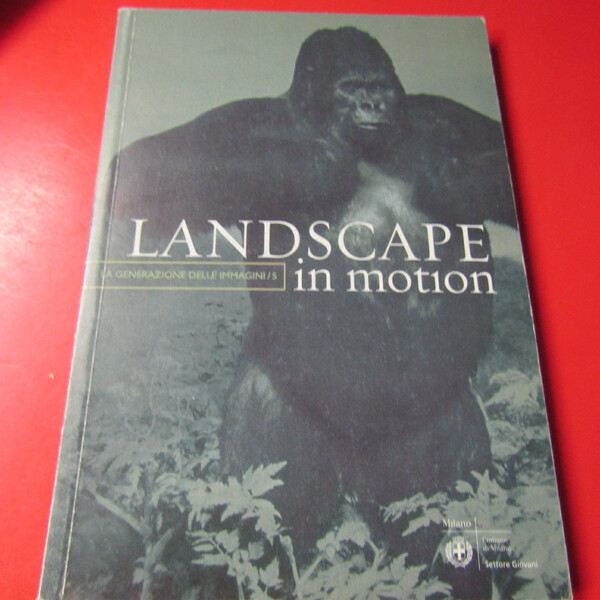 Landascape in motion / La generazione delle immagini