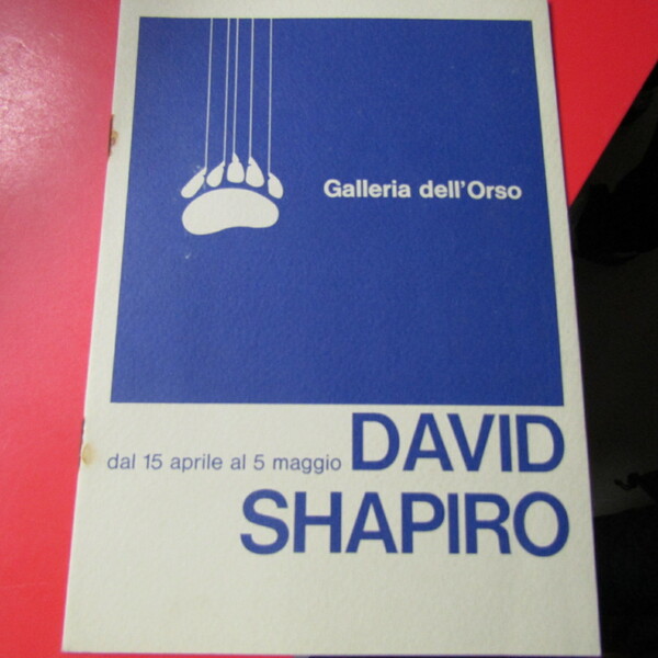 David Shapiro