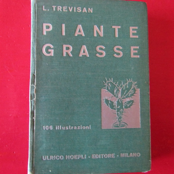 Piante grasse