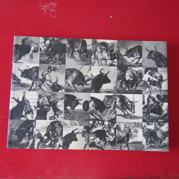 Francisco Goya Y Lucientes