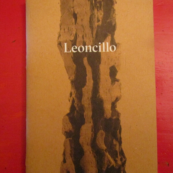 Leoncillo