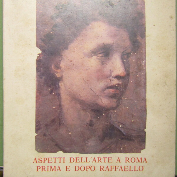 Aspetti dell'arte a Roma prima e dopo Raffaello