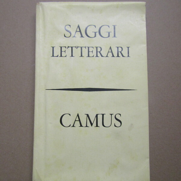 Saggi Letterari